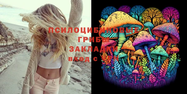 герыч Алексин