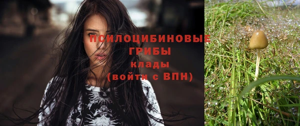 мескалин Абаза