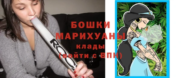 ПСИЛОЦИБИНОВЫЕ ГРИБЫ Алексеевка