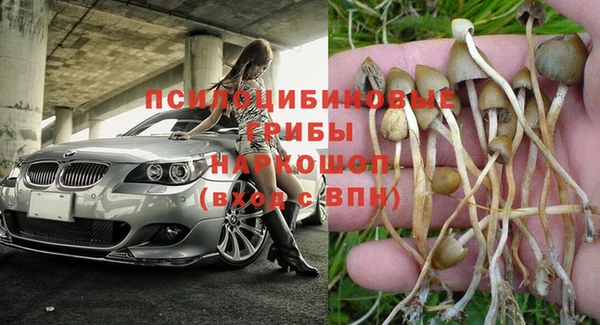 крисы Алзамай