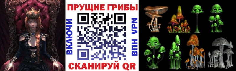 Галлюциногенные грибы Cubensis Берёзовка