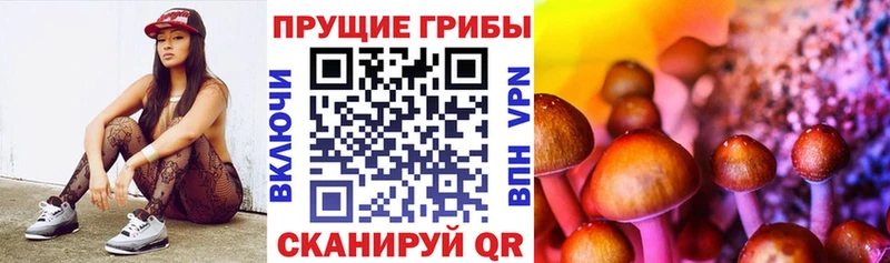 Псилоцибиновые грибы Psilocybe наркотики Берёзовка